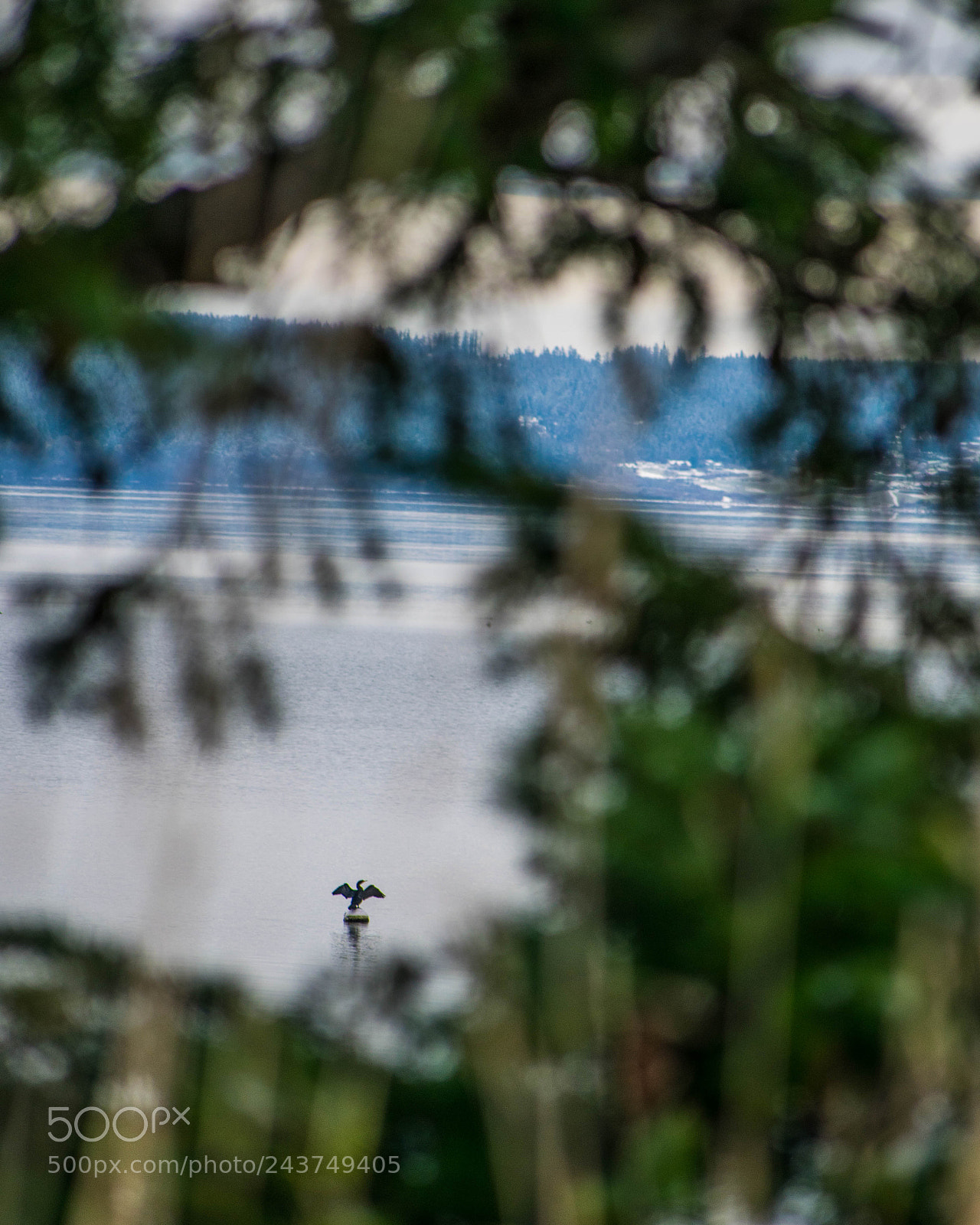 Nikon D3400 sample photo. Nature wildlife photography