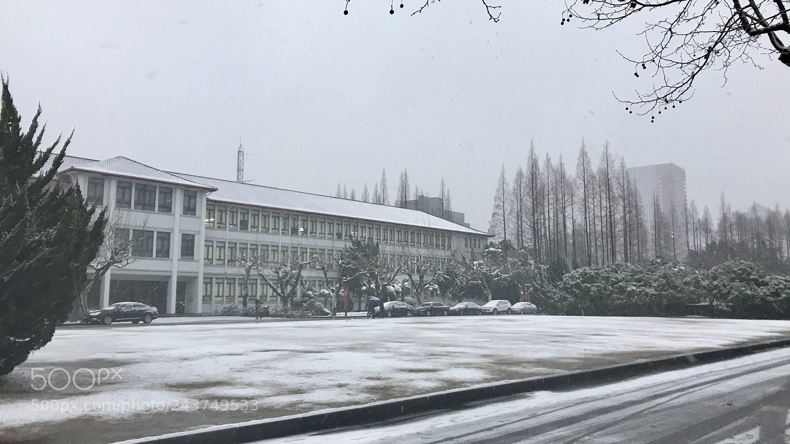 Apple iPhone 7 sample photo. School campus in the photography