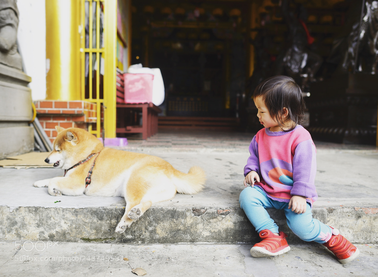 Nikon D800 sample photo. Untitled photography