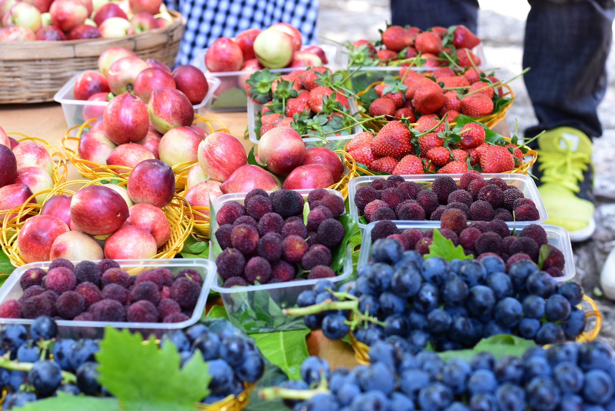 Nikon D5500 + Nikon AF-S Nikkor 50mm F1.8G sample photo. Pro photography
