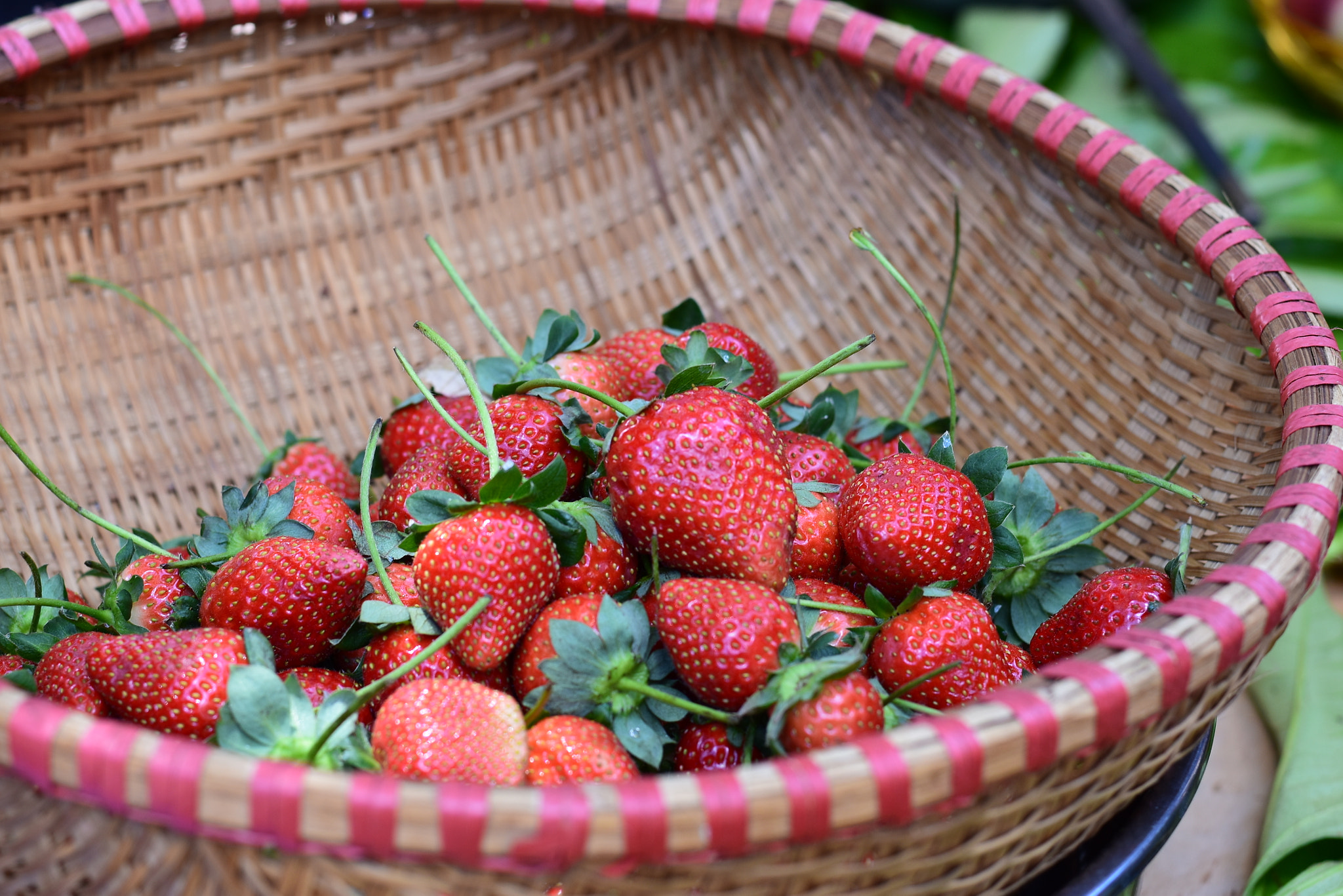 Nikon D5500 + Nikon AF-S Nikkor 50mm F1.8G sample photo. Pro photography