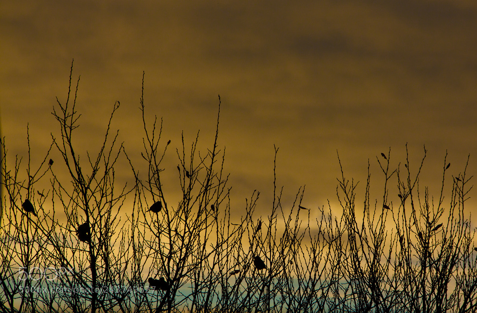 Canon EOS 50D sample photo. Homeless photography
