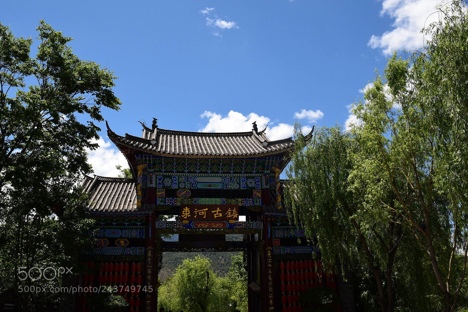 Nikon D5500 sample photo. Pro photography
