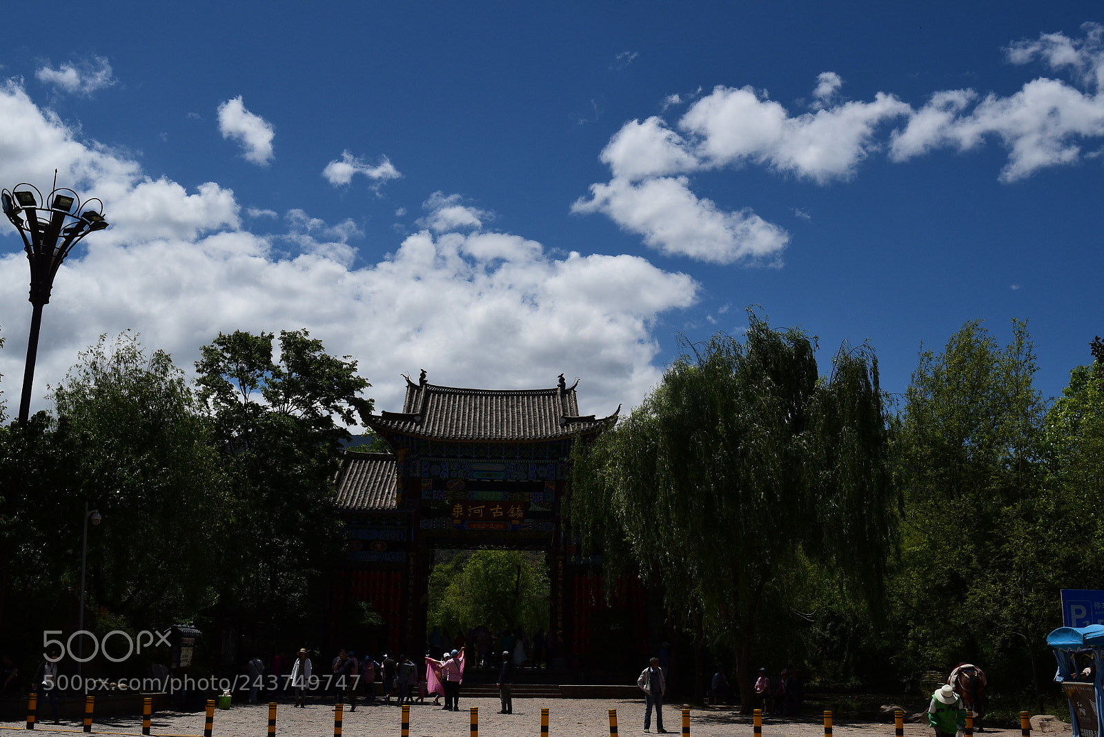 Nikon D5500 sample photo. Pro photography