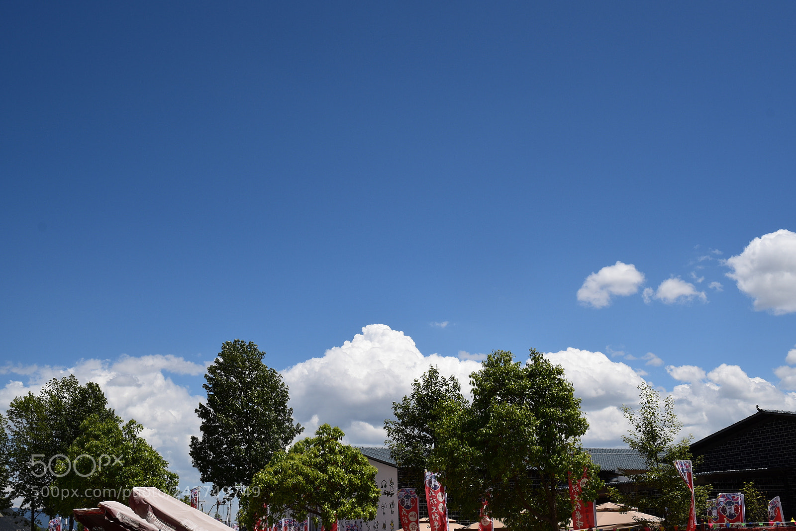 Nikon D5500 sample photo. Pro photography