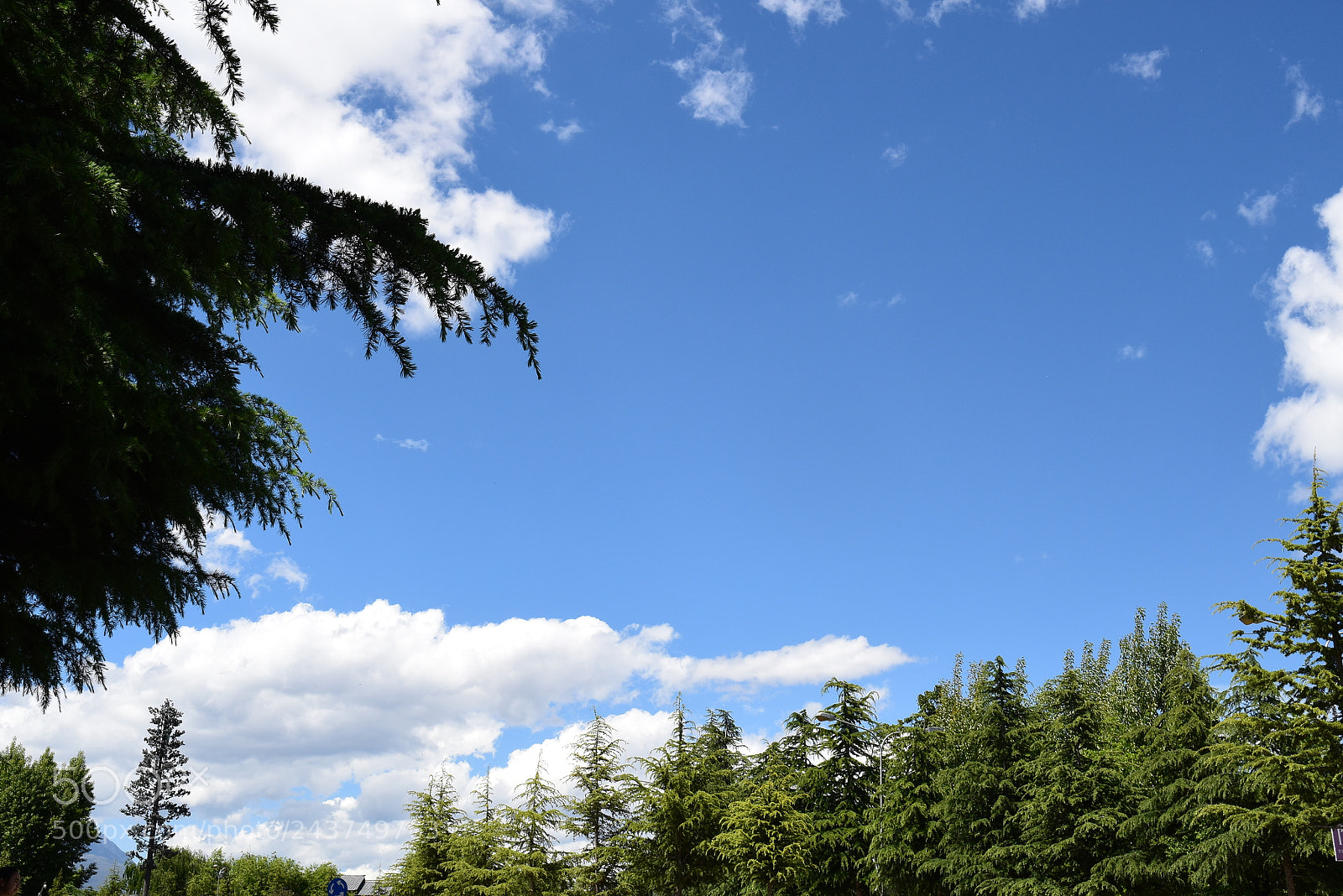 Nikon D5500 sample photo. Pro photography