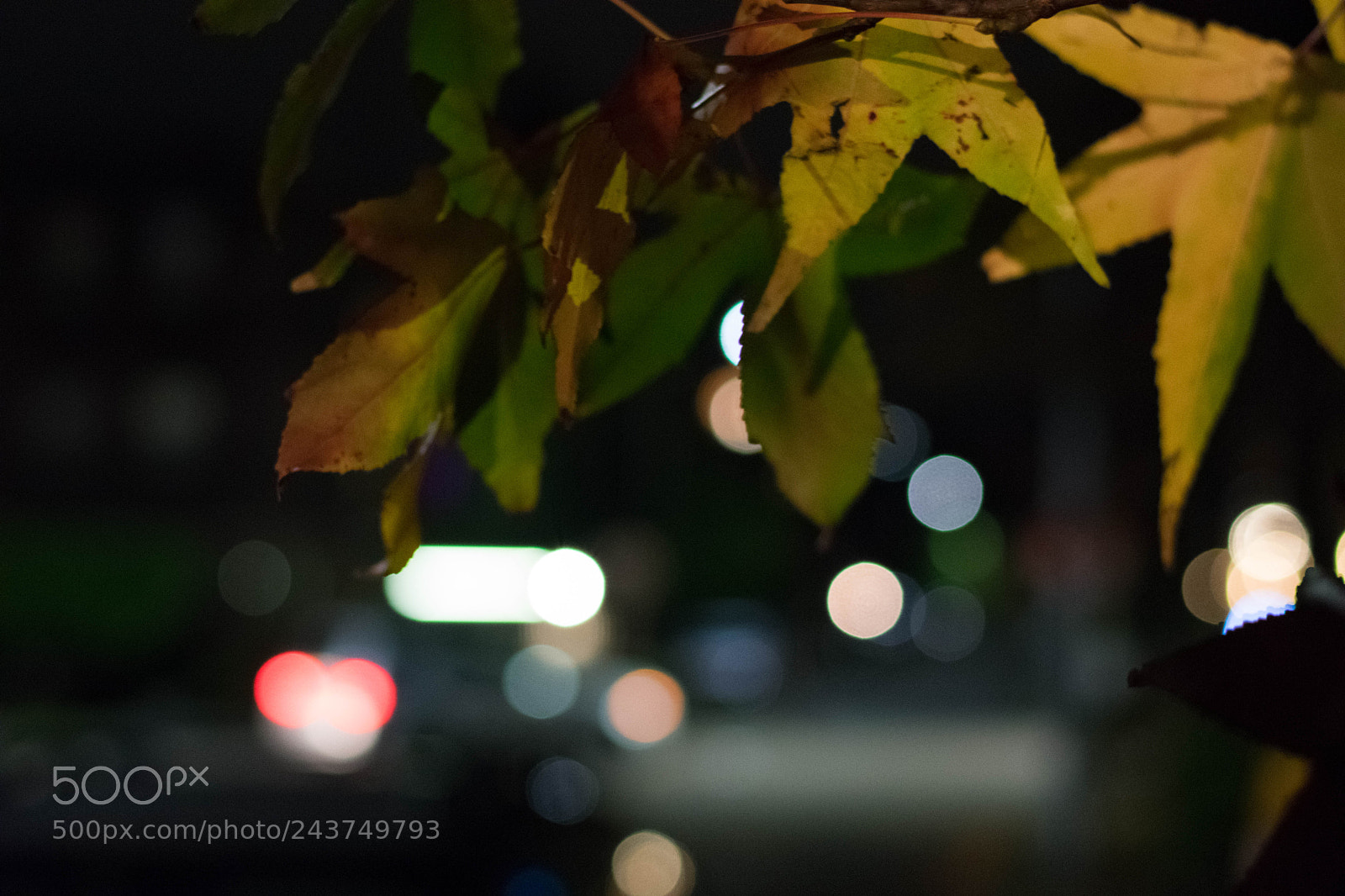Nikon D3400 sample photo. Street photography