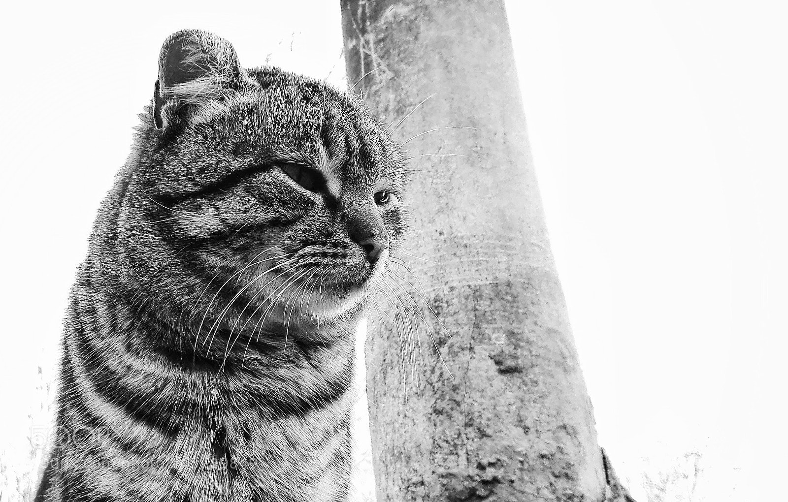HUAWEI P8 Lite sample photo. Untitled photography