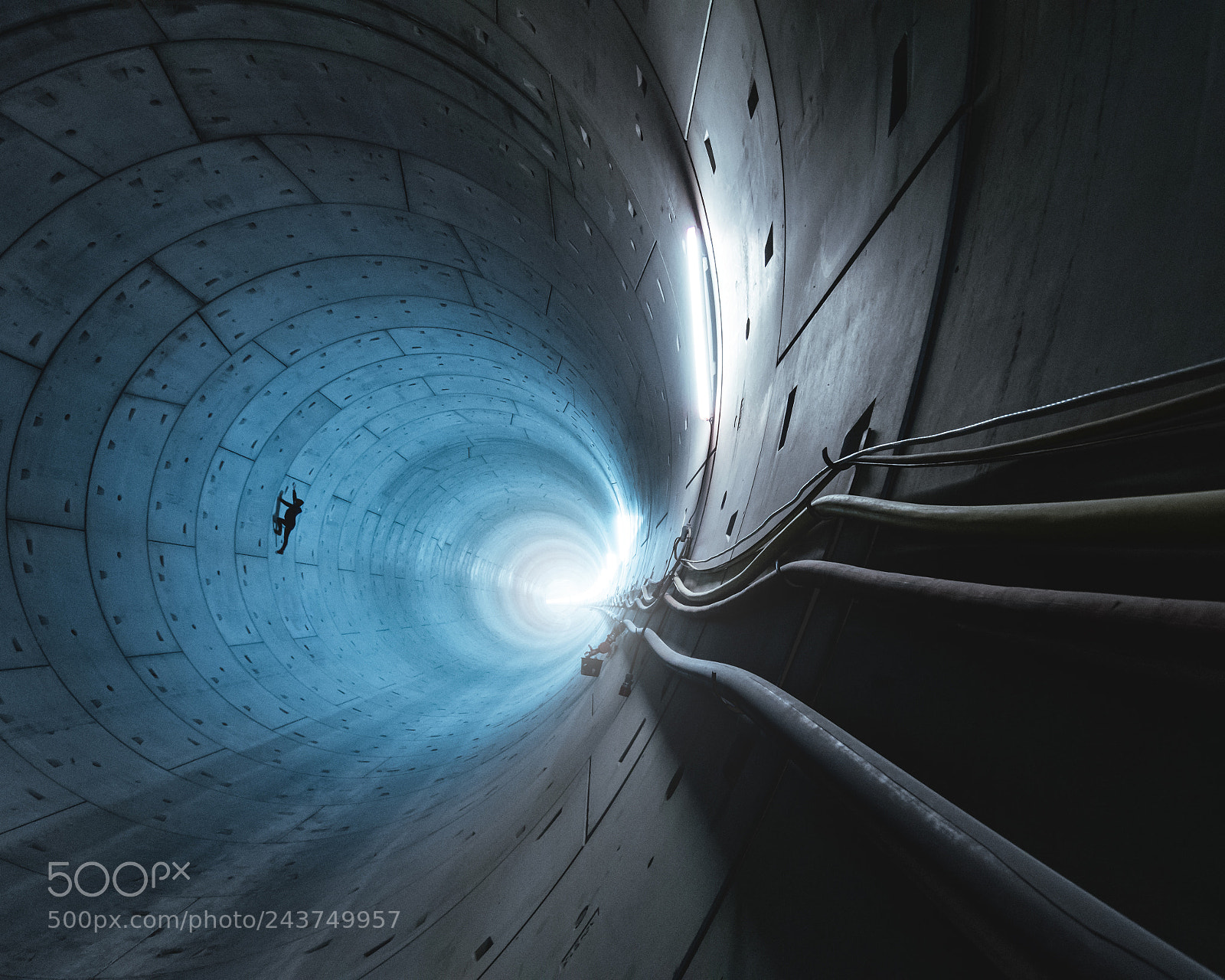 Nikon D500 sample photo. Against gravity. photography