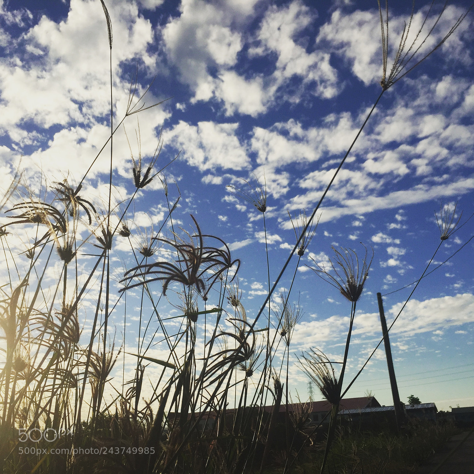 Apple iPhone 6 sample photo. Iphone 6 photography