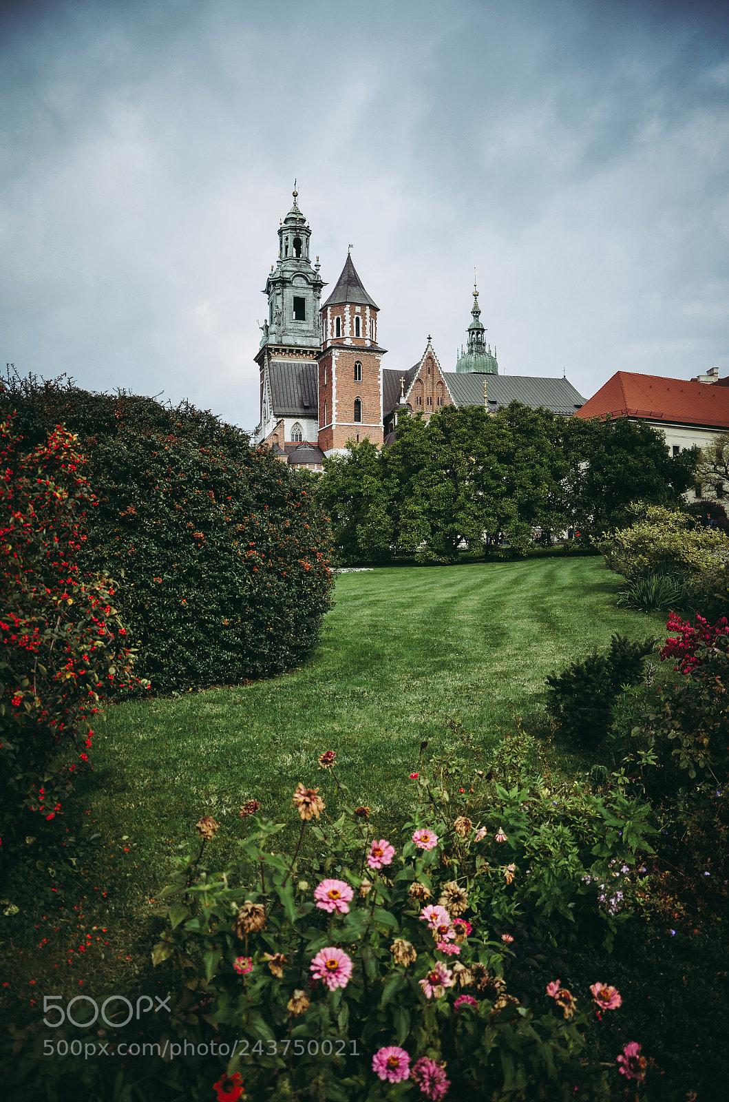 Nikon D5100 sample photo. Krakow photography