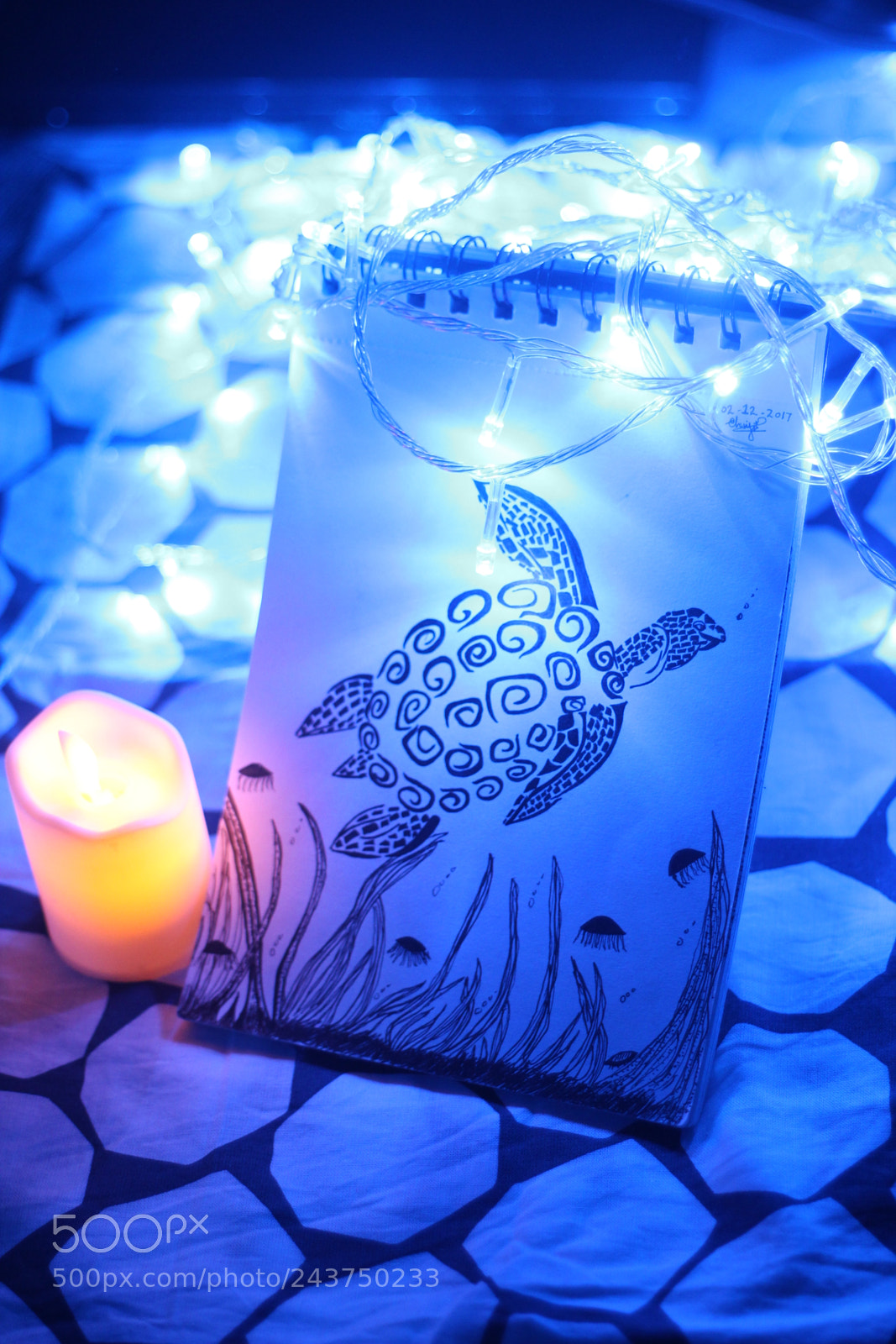 Canon EOS 60D + Canon EF 50mm F1.8 II sample photo. My drawing photography