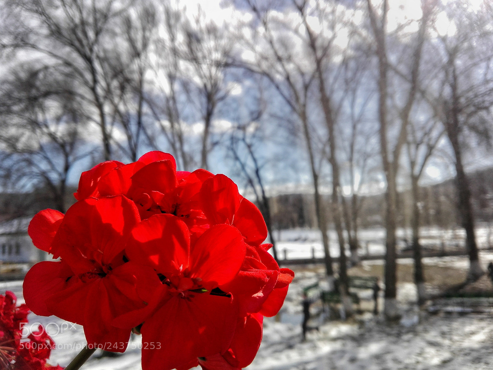 HUAWEI P8 Lite sample photo. Untitled photography