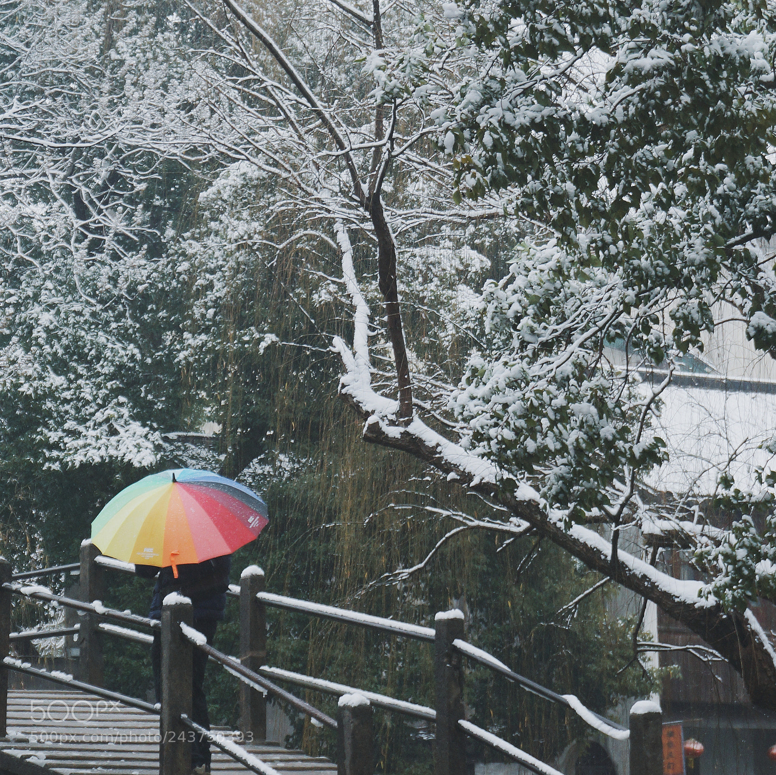 Sony Alpha NEX-3N sample photo. Snowy rainbow photography