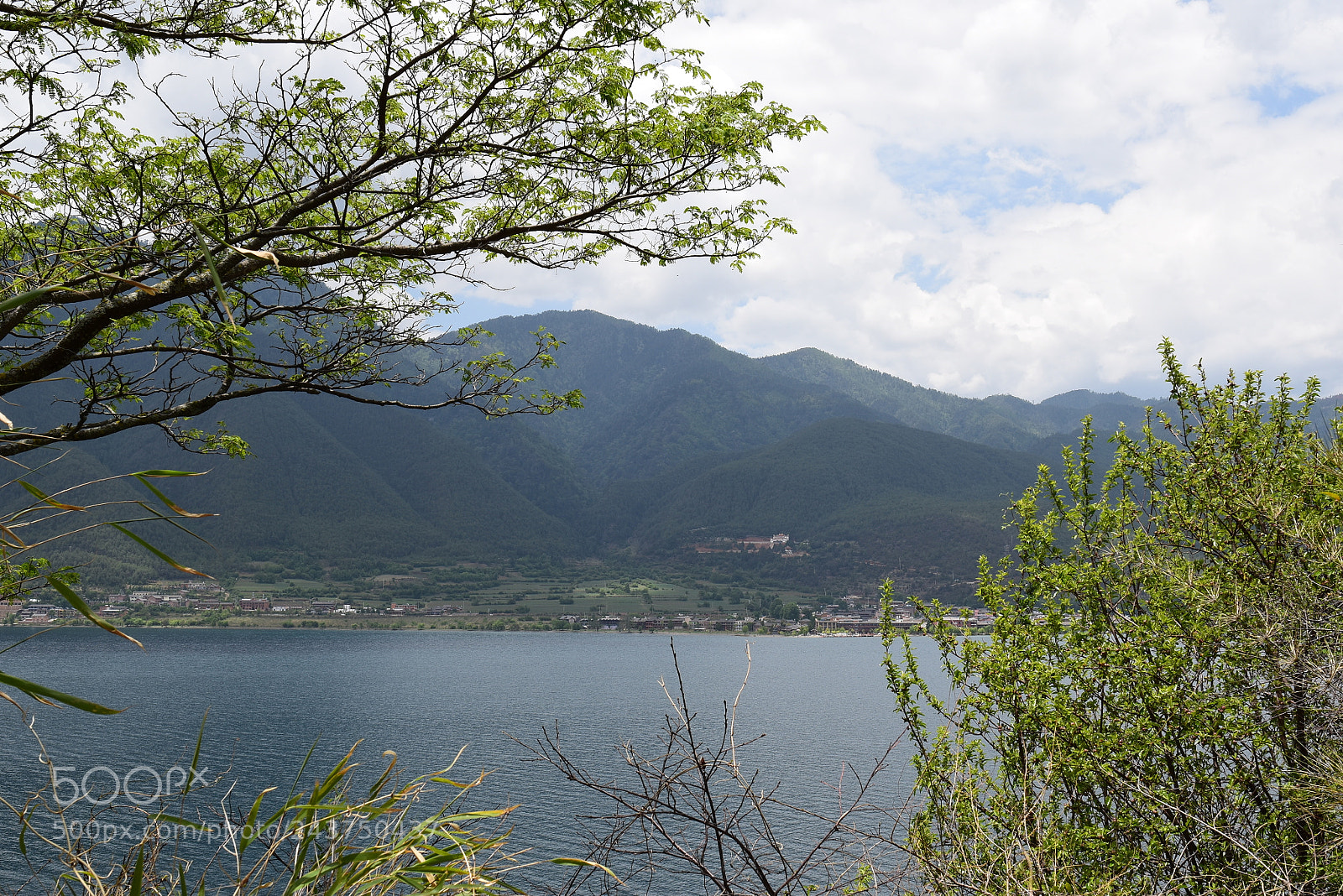 Nikon D5500 sample photo. Pro photography
