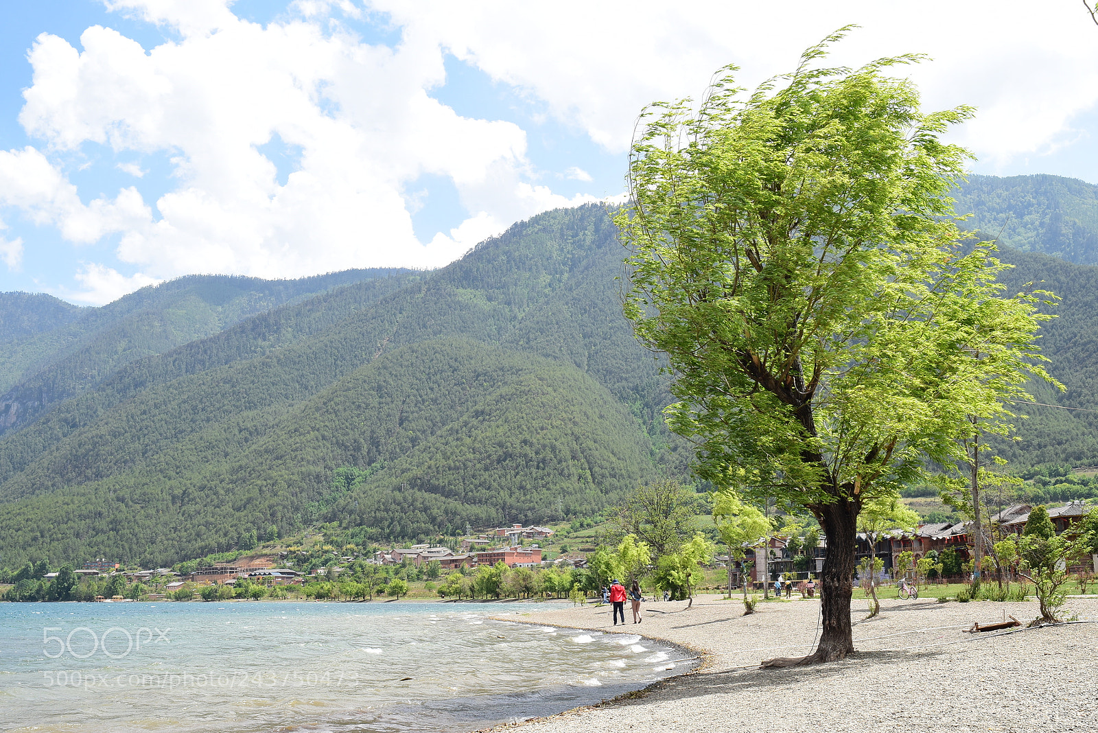 Nikon D5500 sample photo. Pro photography