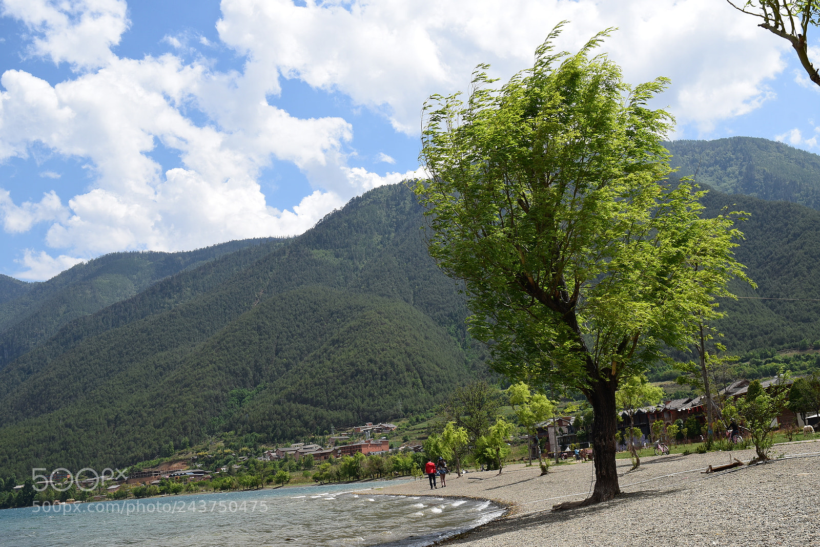 Nikon D5500 sample photo. Pro photography