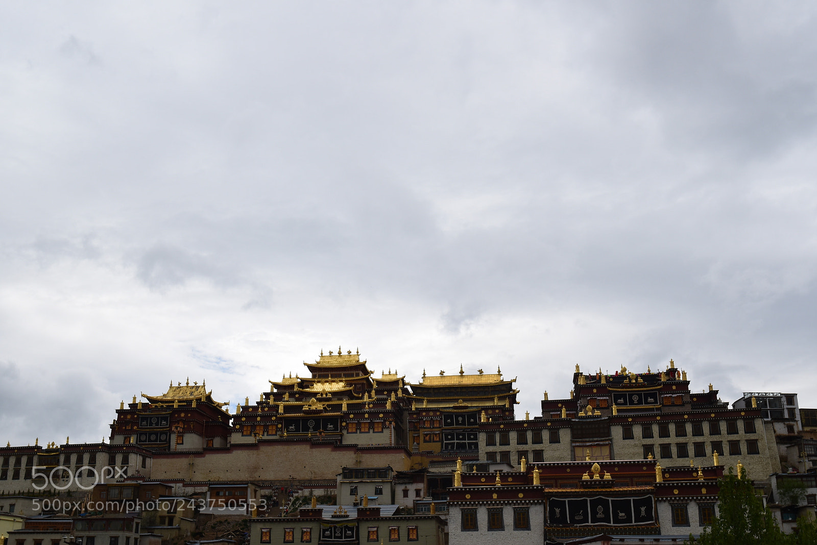 Nikon D5500 sample photo. Pro photography