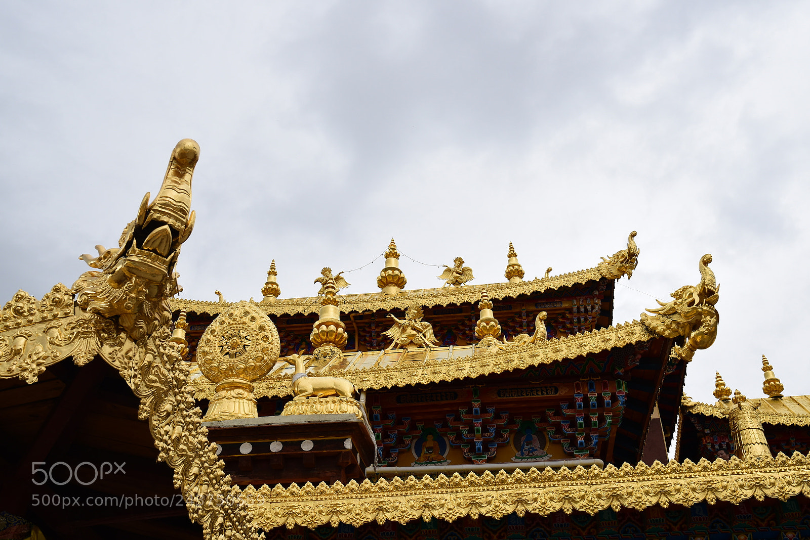 Nikon D5500 sample photo. Pro photography