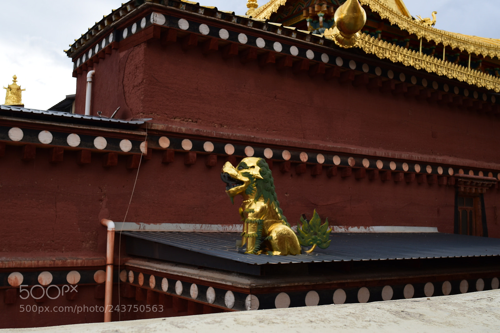 Nikon D5500 sample photo. Pro photography