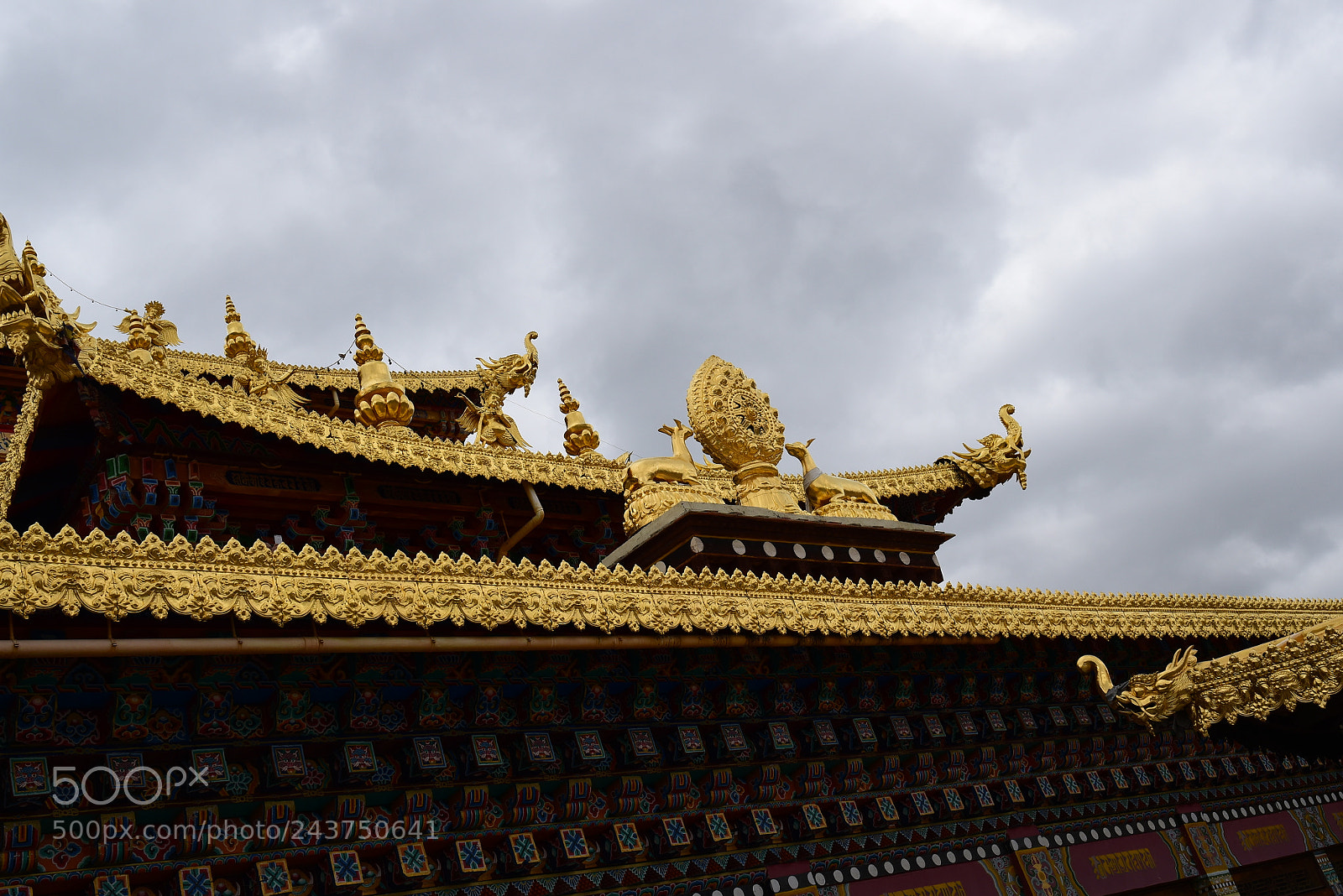 Nikon D5500 sample photo. Pro photography