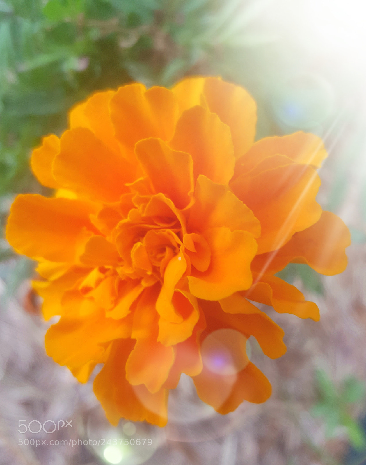 Samsung Galaxy S6 sample photo. Untitled photography