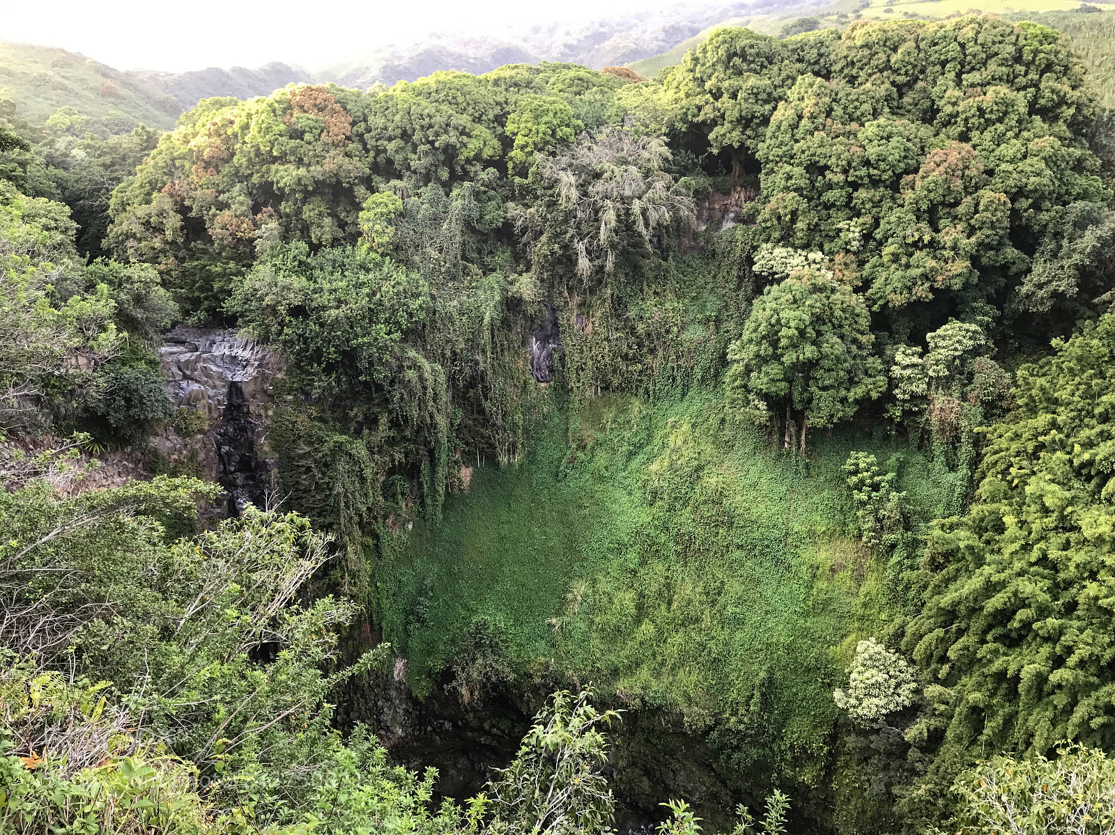 Apple iPhone 7 sample photo. Road to hana photography