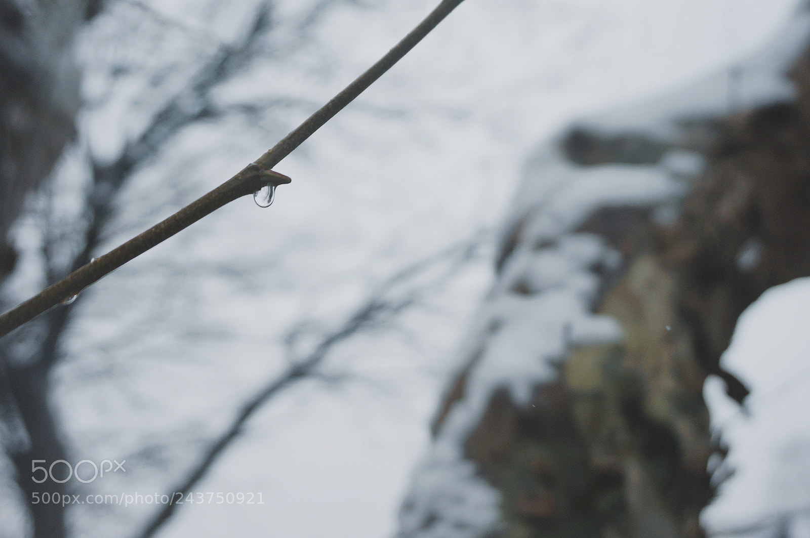 Sony Alpha NEX-3N sample photo. Tear photography