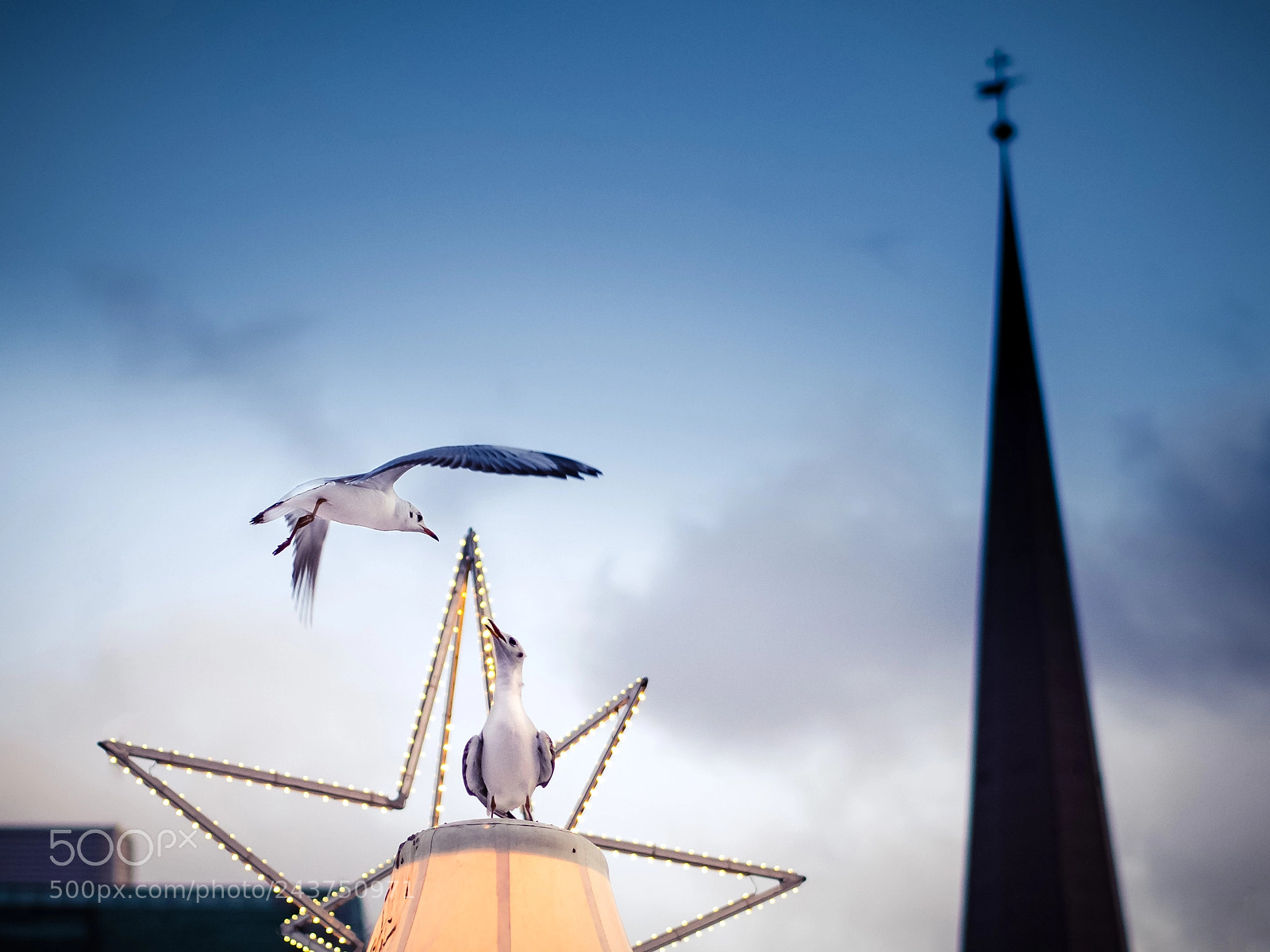 Olympus PEN E-PL5 sample photo. My favourite place photography