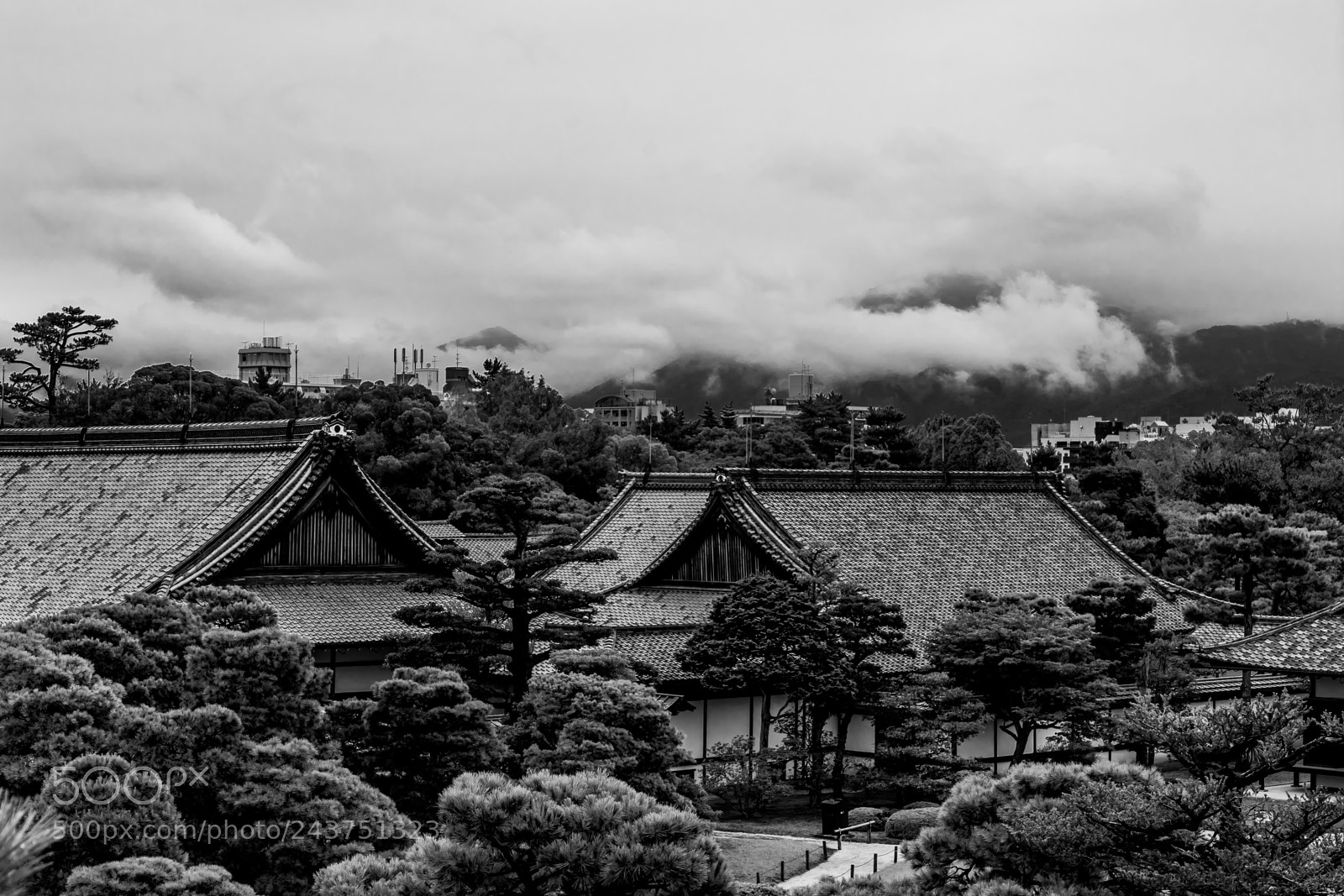 Sony a7 II sample photo. Untitled photography
