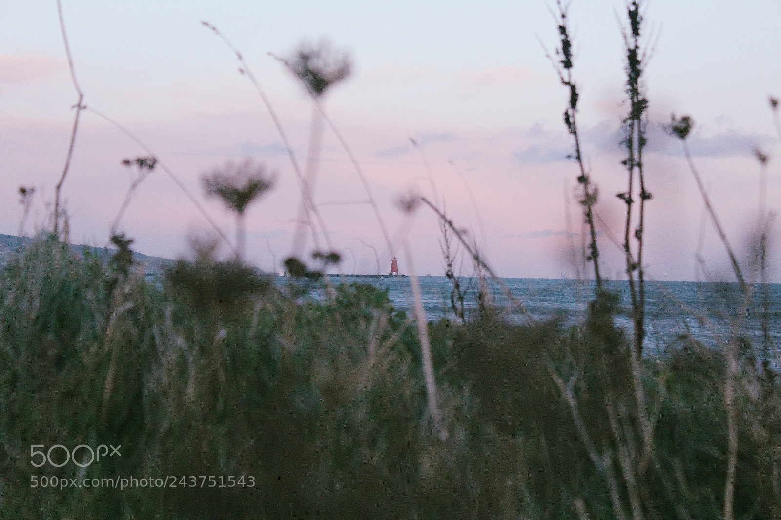 Canon EOS 1200D (EOS Rebel T5 / EOS Kiss X70 / EOS Hi) sample photo. Dublin bay photography