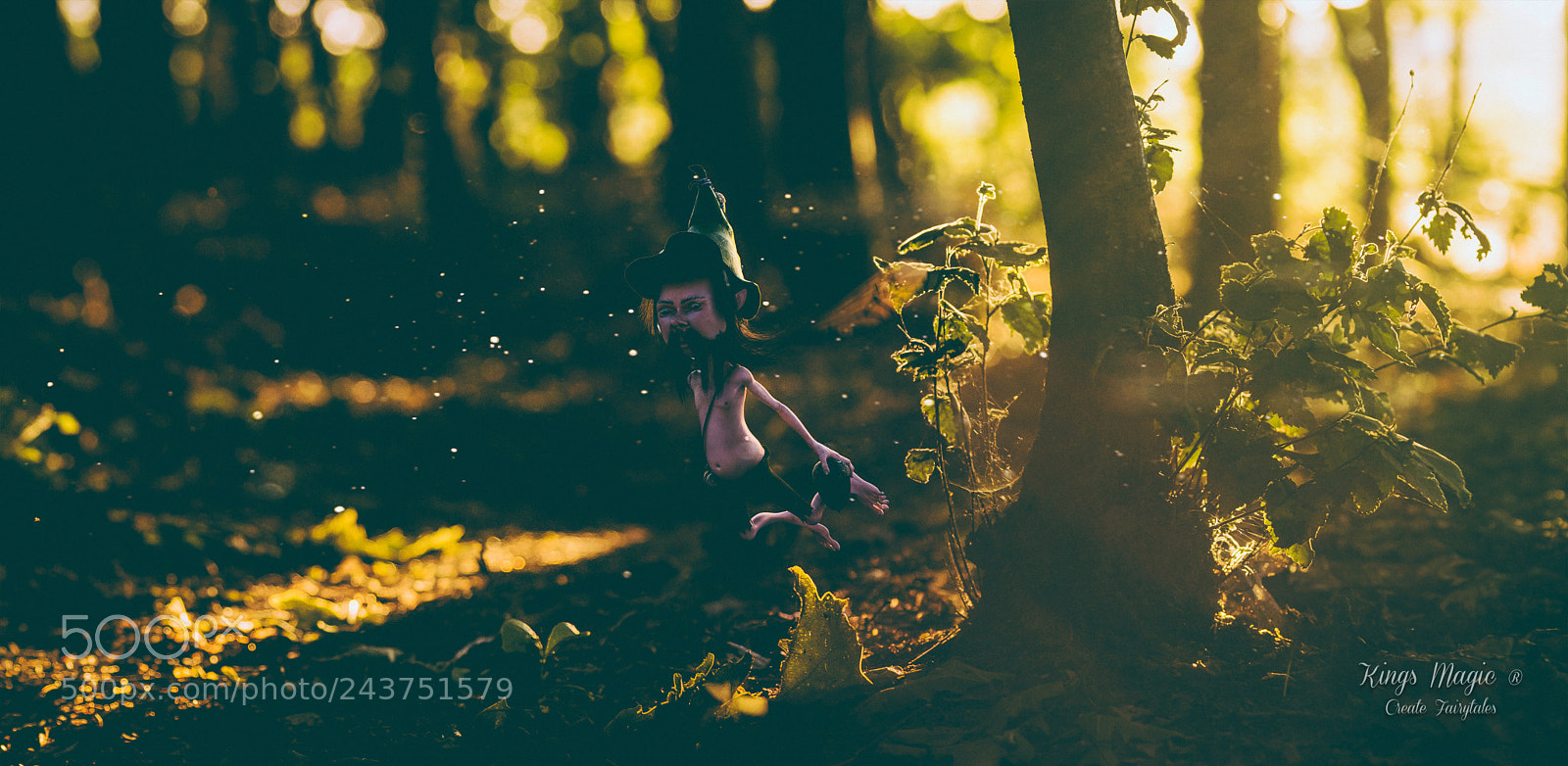 Sony ILCA-77M2 sample photo. Foraging photography