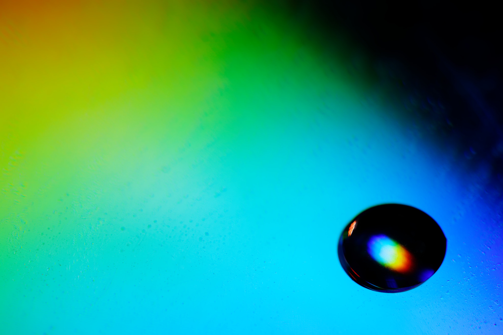 Canon EF 100mm F2.8L Macro IS USM sample photo. Behold, a pale horse photography