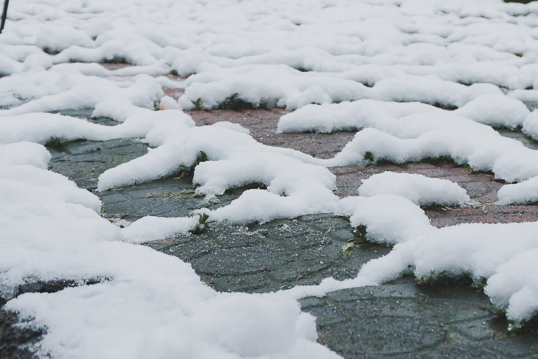 Sony E 16-50mm F3.5-5.6 PZ OSS sample photo. Snow on the ground photography