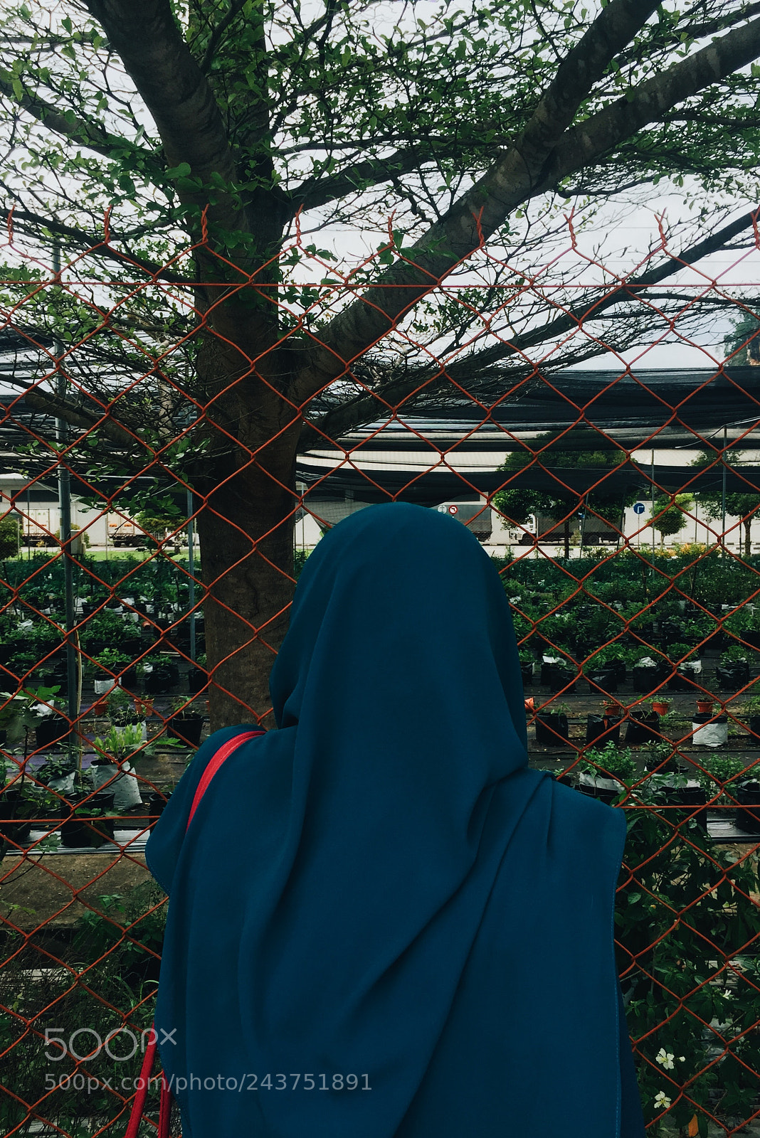 Apple iPhone 6 sample photo. Untitled photography
