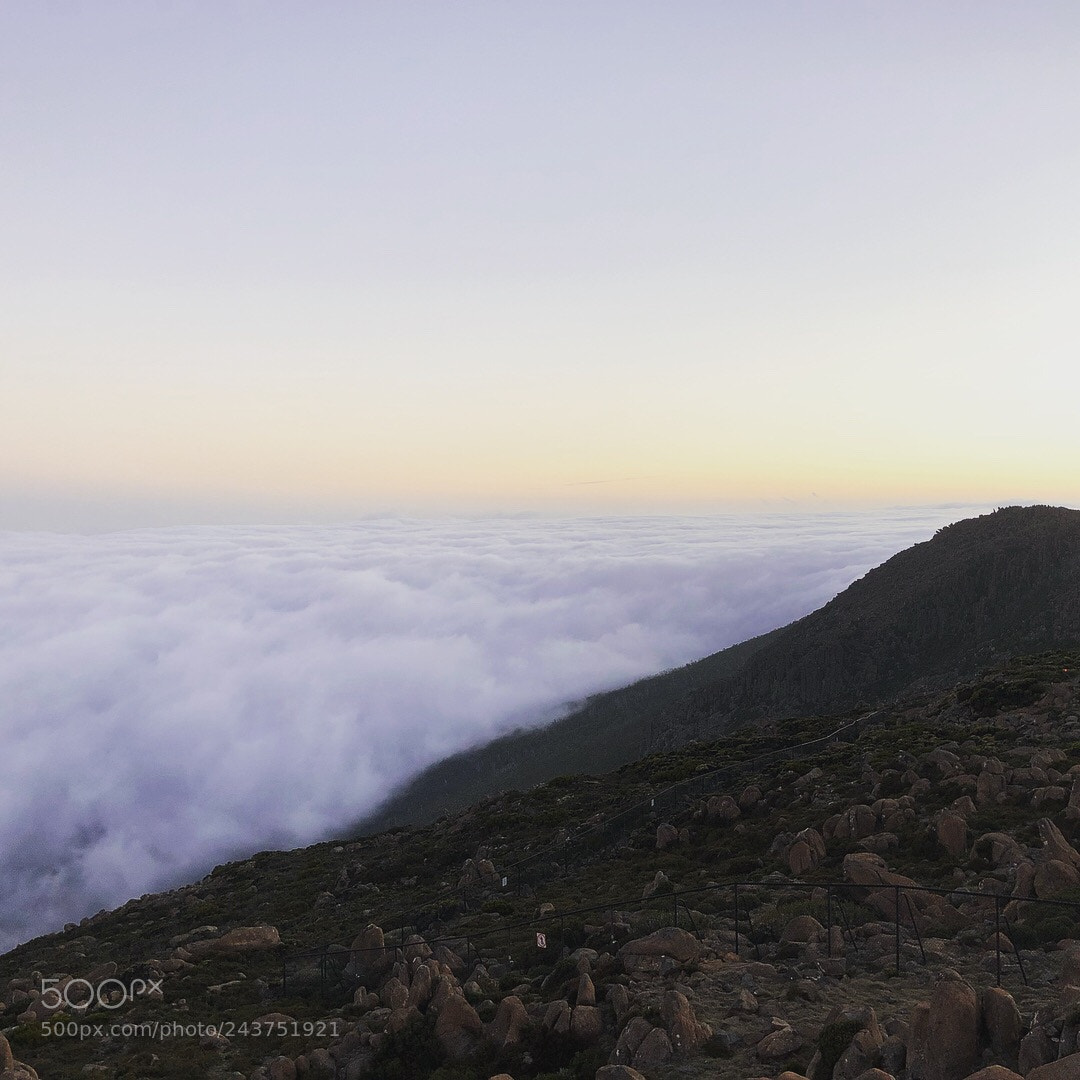 Apple iPhone X sample photo. Mt wellington, tasmania photography