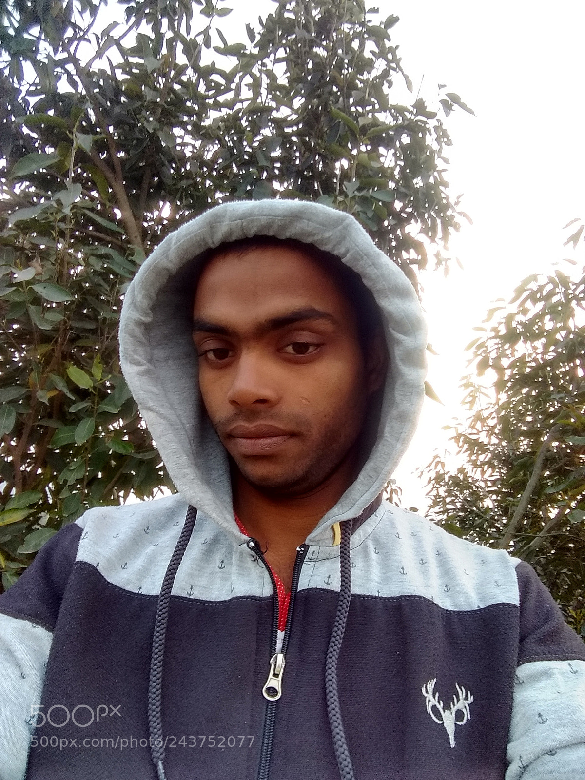 Motorola Moto G (5S) sample photo. Untitled photography