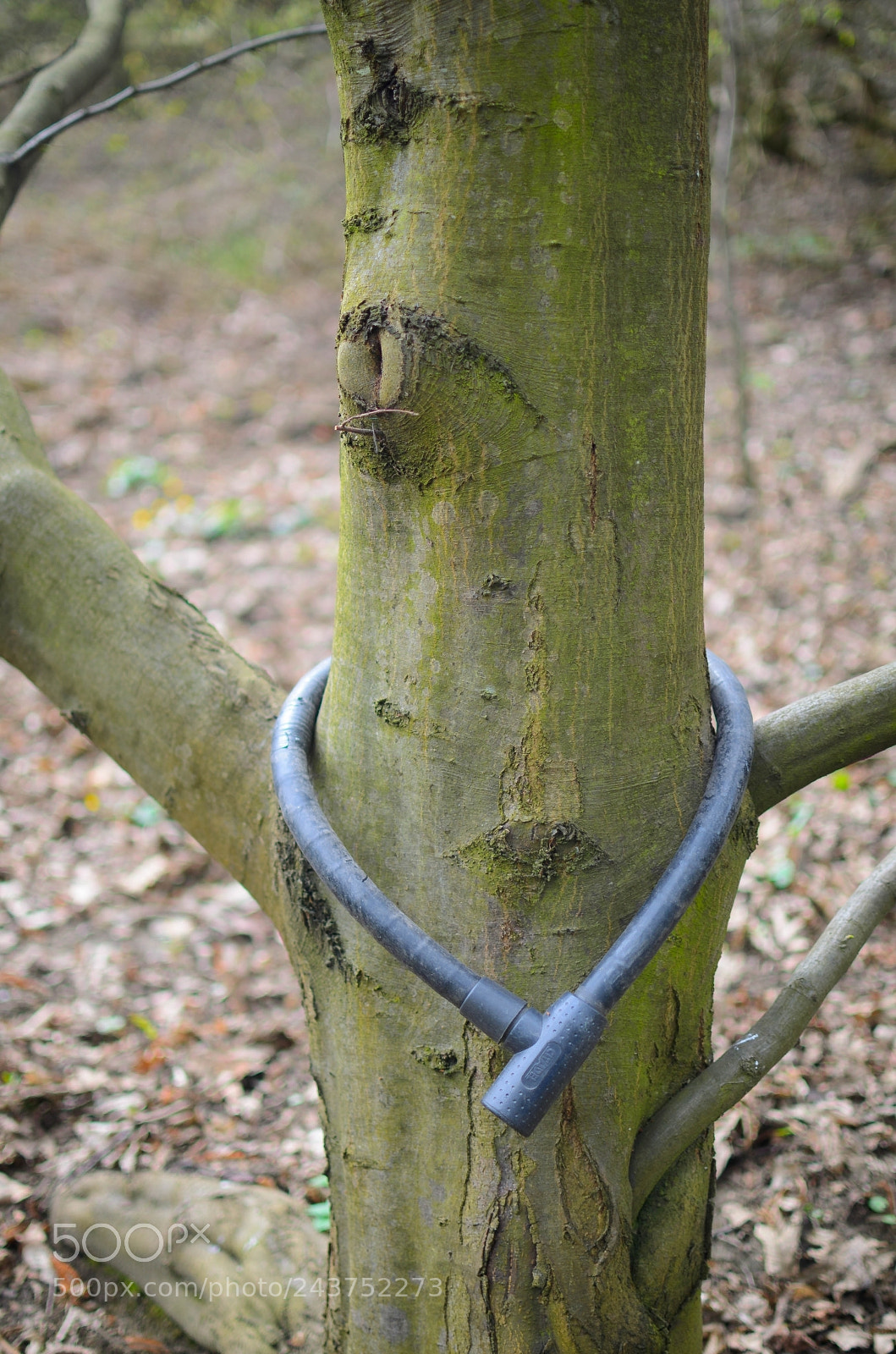 Nikon D5100 sample photo. Untitled photography