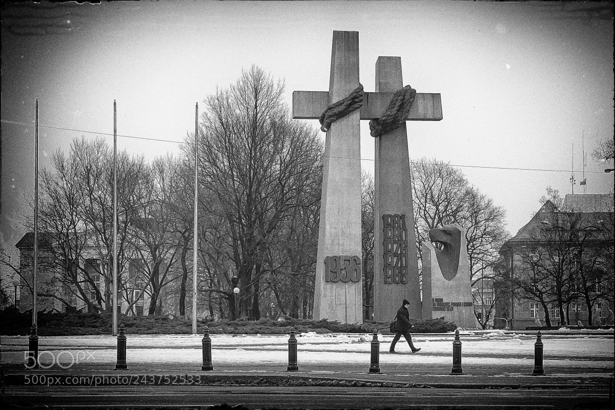 Nikon D500 sample photo. Poznan, poland photography