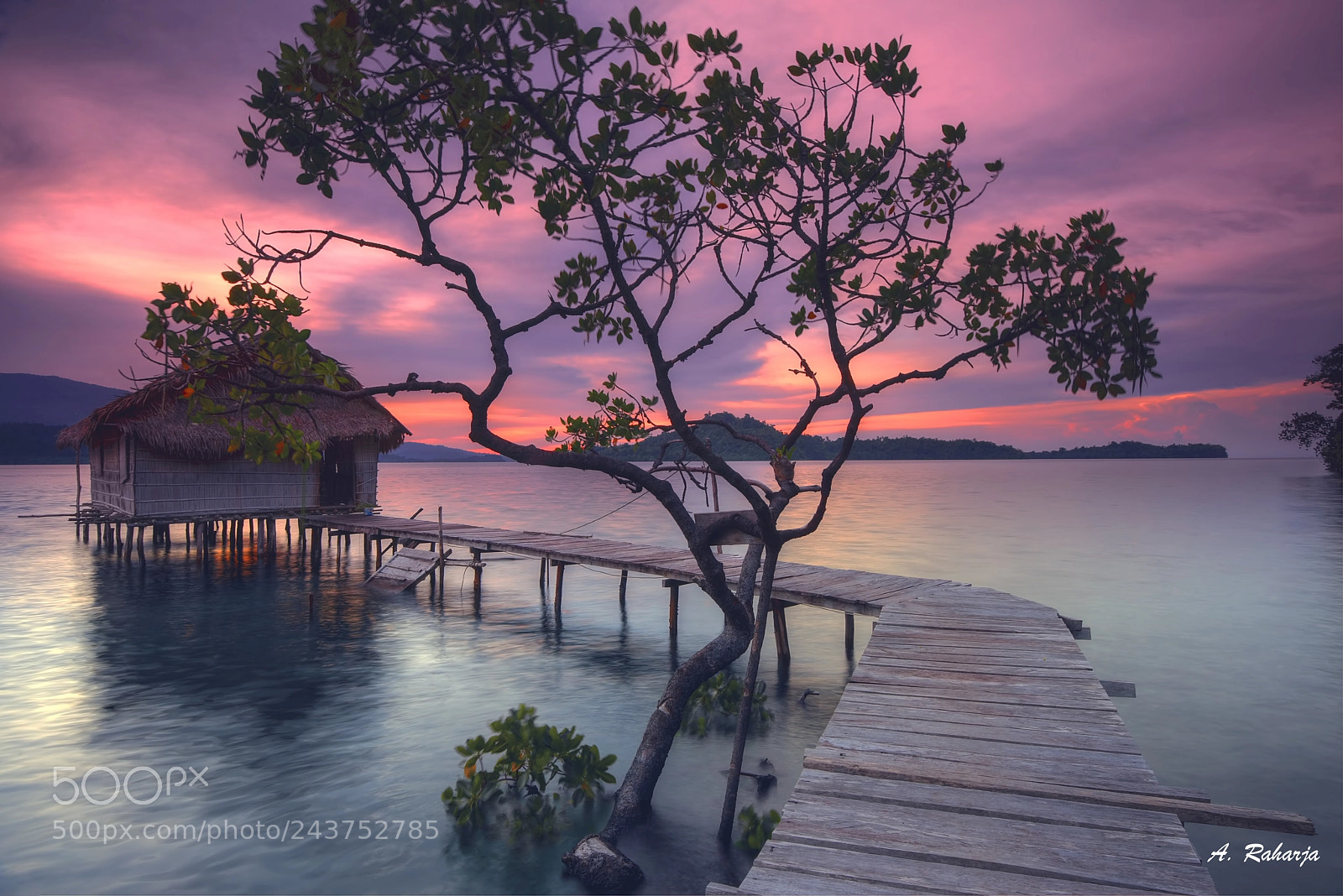 Nikon D810 sample photo. Lonely earth photography