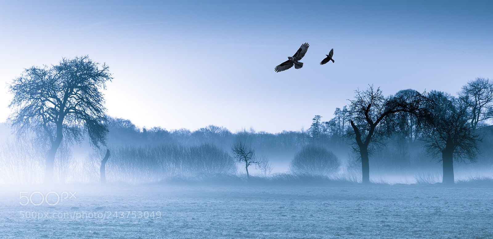 Nikon D800 sample photo. Early morning mist... photography