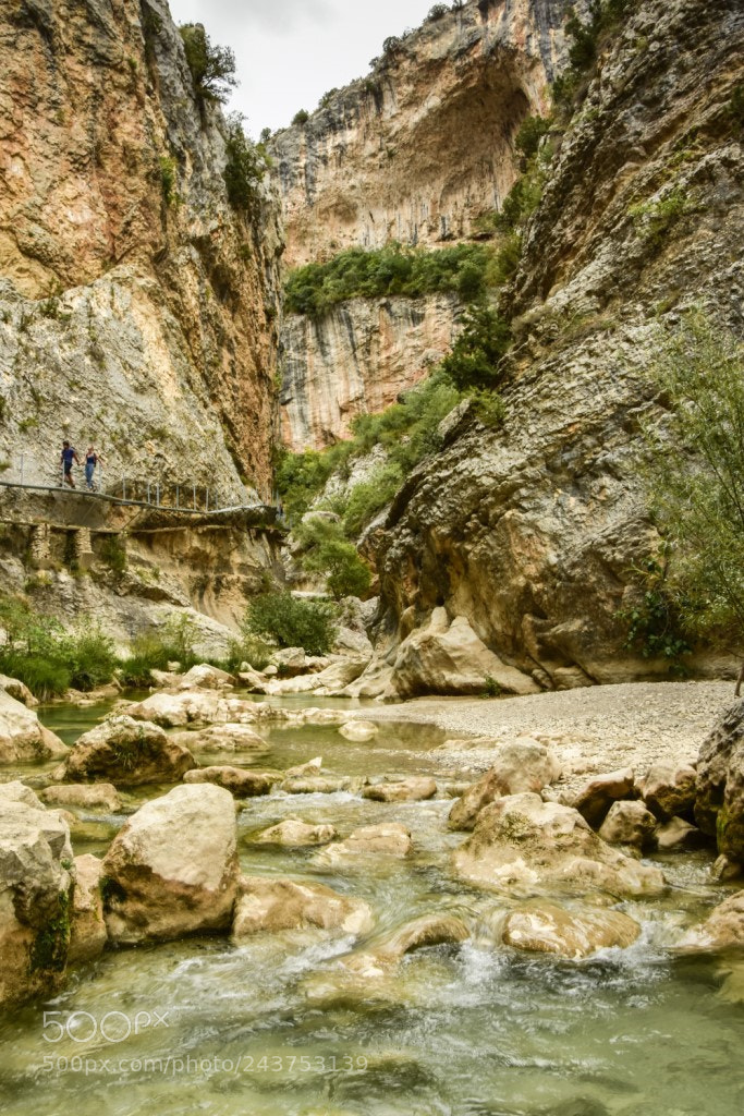 Nikon D7200 sample photo. Cañon photography