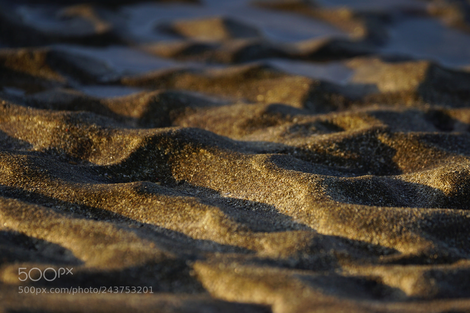 Sony ILCA-77M2 sample photo. Natural arts photography
