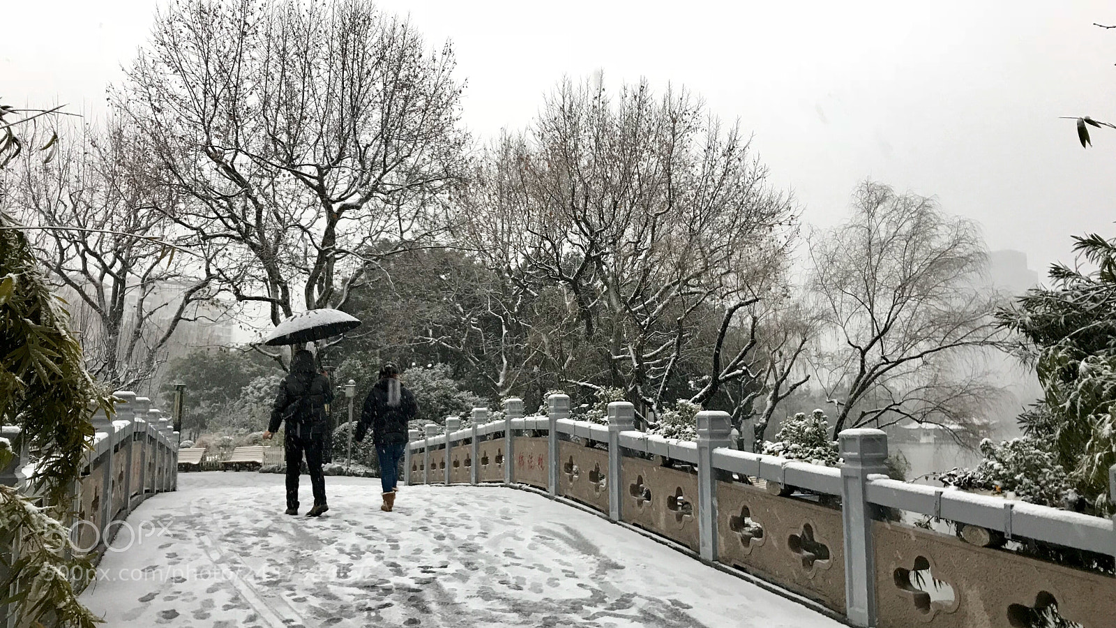 Apple iPhone 7 sample photo. Snowing 下雪天 photography