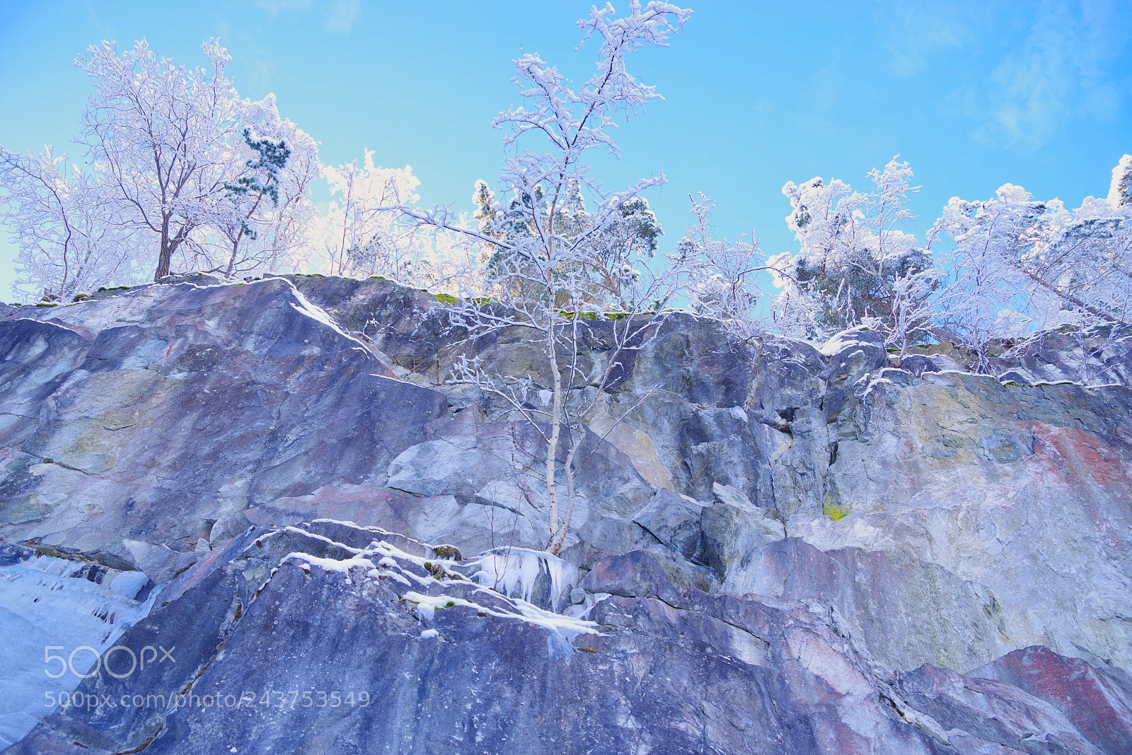 Pentax K-1 sample photo. Tree on the mountain photography