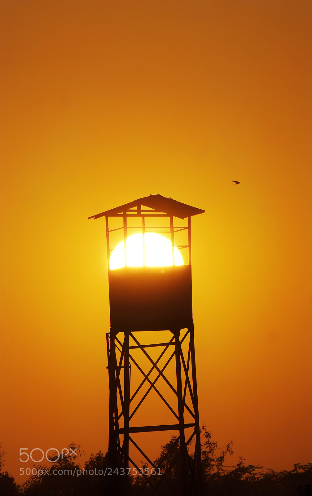 Sony Alpha a3500 sample photo. Sunset? photography