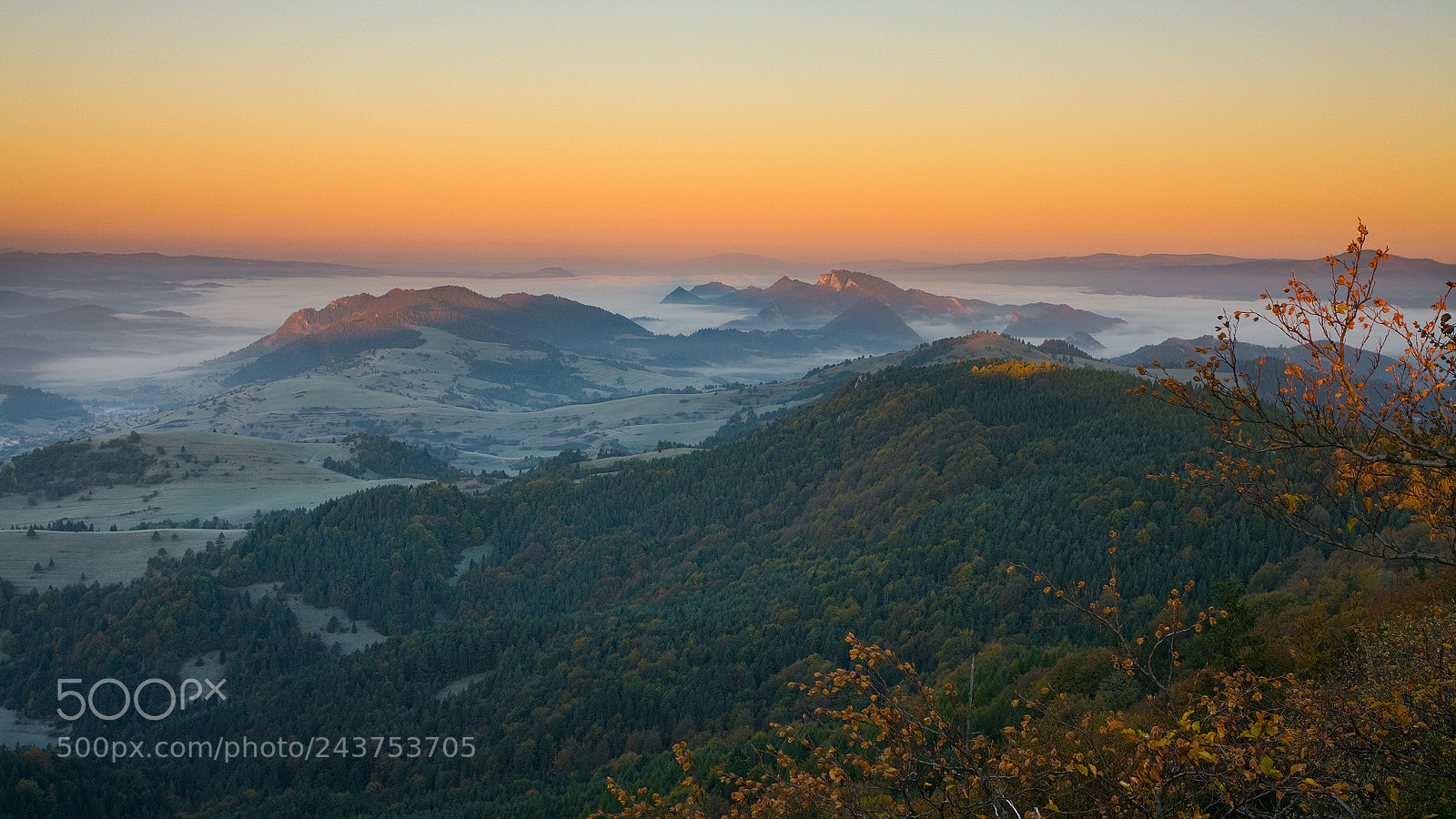 Canon EOS 5D sample photo. Autumn sunrise photography