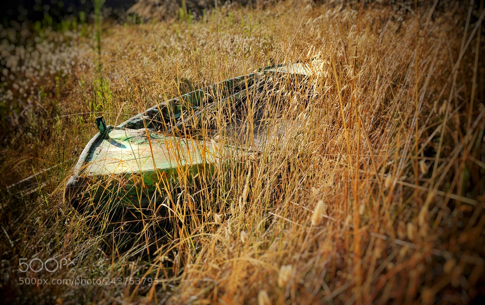 Sony Alpha a5000 (ILCE 5000) sample photo. Barca olvidada photography