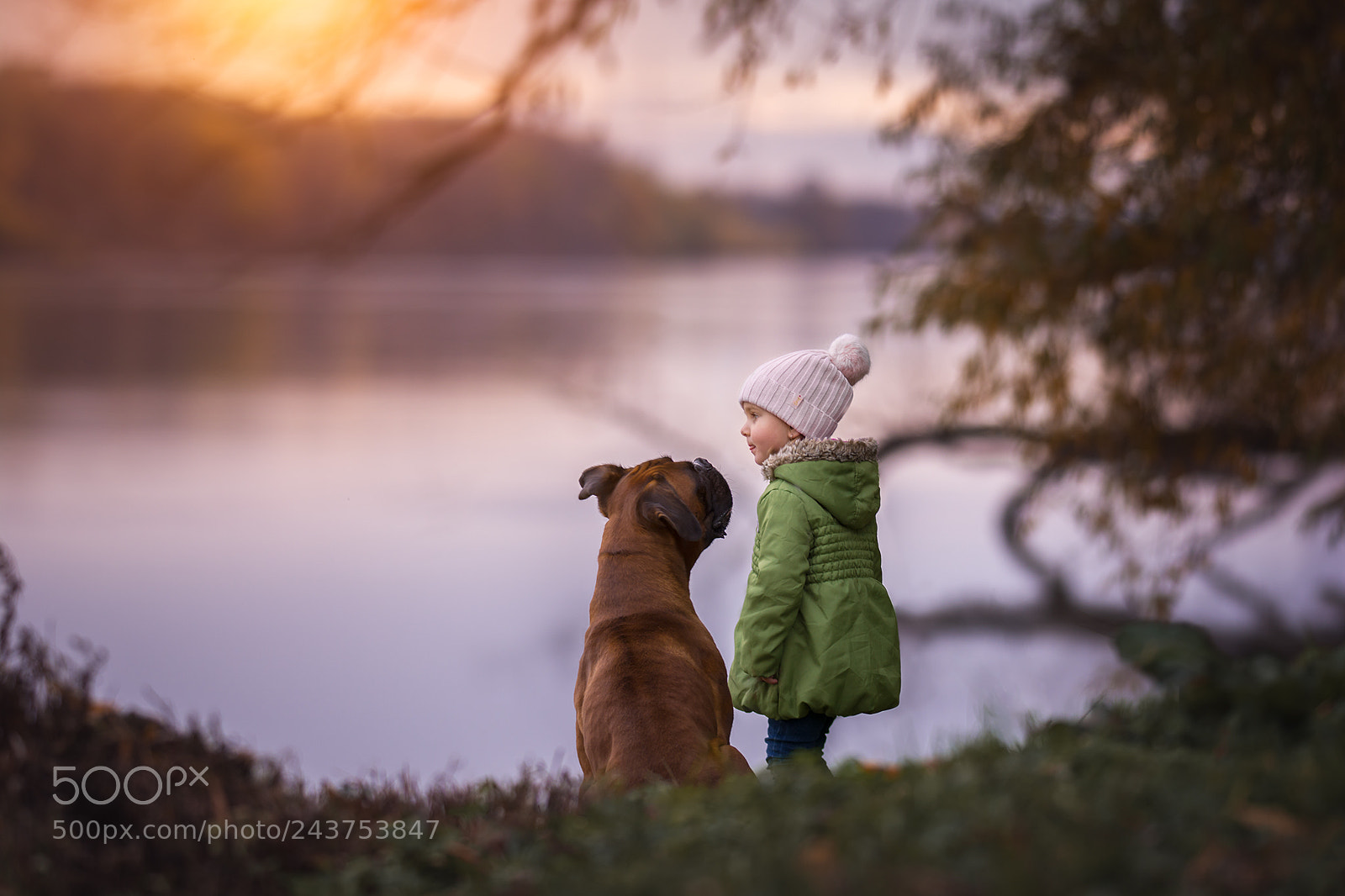 Nikon D7100 sample photo. Unconditional love photography