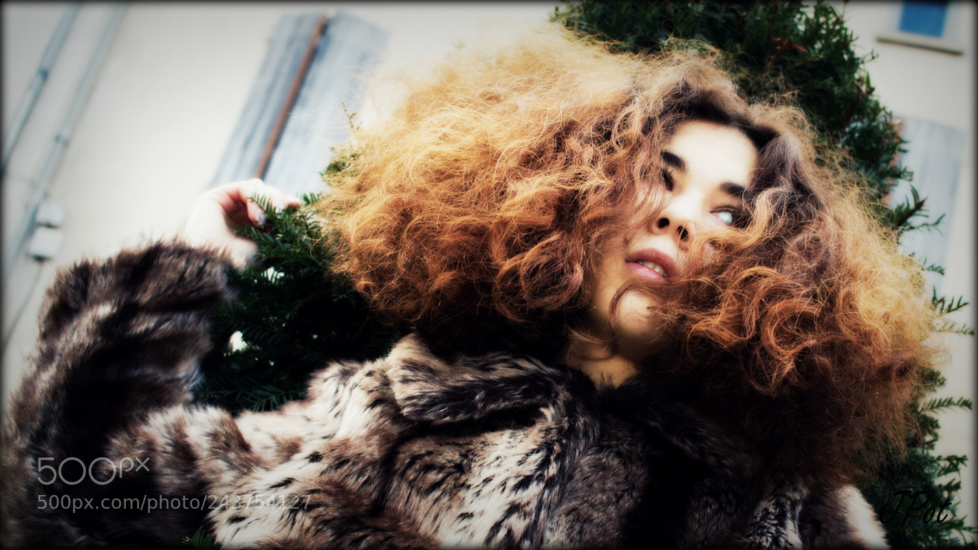 Canon EOS 60D sample photo. No name photography